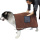 Pet Bath Towel Absorbent Microfiber Towel with Pockets